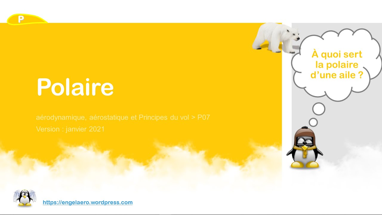 🛫Polaire (BIA, Principes du vol🎈07)