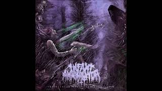 Infant Annihilator - Unholy Gravebirth (audio HD)