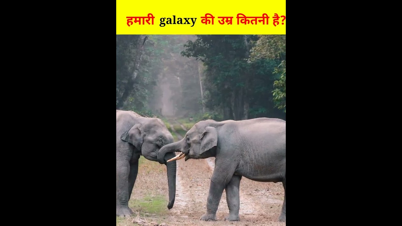 top 3 shocking facts#shorts #facts #ytshorts#factship#facttechz