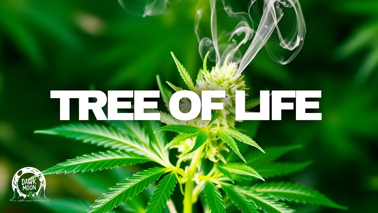 Trapp Reggae Type Beat | Tree of Life 🌳 (Jah Loyal instrumental )