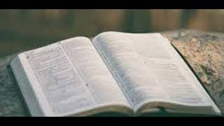 Why do you wait, dear brother (Hymn 20 Audio)
