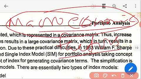 Single Index Model
