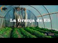 161 La Granja de Eli - Estancias y Tradiciones