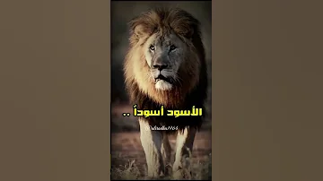 لا تأسفن على غدر الزمان لطالما رقصت على جثث الأسود كلاب 