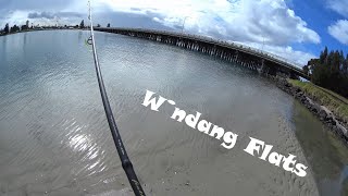 Fishing Windang Flats (Wollongong) with Soft Plastics, Hard Body Cranks and Surface Lures