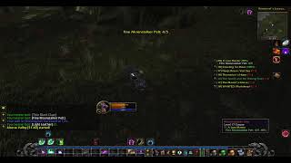 The Bear Essentials | Turtle WoW | Balance Druid