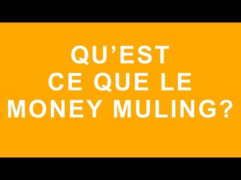 Vidéo: Qu'est-ce qu'une mule ?