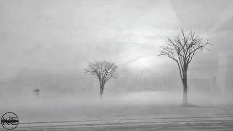 Noise Entropy - Winter Spleen