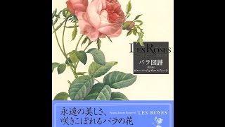 【紹介】Les Roses バラ図譜 【普及版】 （ピエール=ジョセフ・ルドゥーテ）