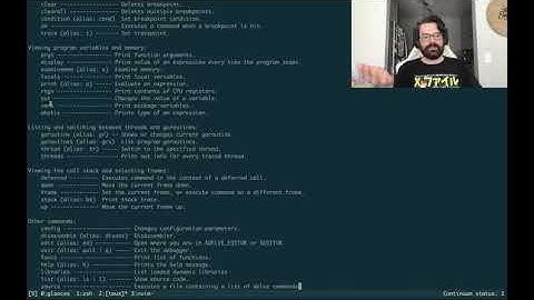 Delve: The Best Golang Debugger