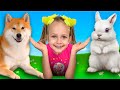 Favorite Pets Song + More Songs for Kids | Maya and Mary