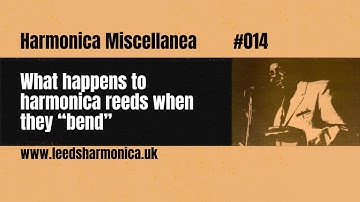 What Happens to Harmonica Reeds when they Bend? | Harmonica Miscellanea 014