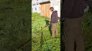 Mowing OVERGROWN Commerical Backyard! #stihl #mowing #overgrown #satisfying #storytime