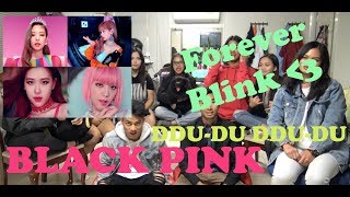 [DIVERSITY] Blackpink - 뚜두뚜두 (DDU-DU DDU-DU) Reaction Video | SPECIAL GUEST DOGGO
