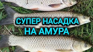 Супер насадка на БІЛОГО АМУРА. Снасть на БІЛОГО АМУРА.