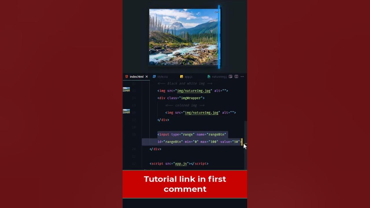 Image Comparison Slider Before and After Using HTML, CSS, JS DeveloperHub1 developerhub