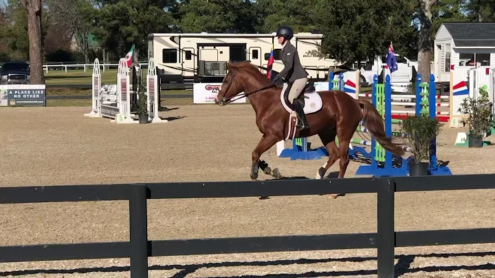 Dream DElle 1.0m