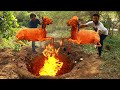 Two Whole Lambs Cooked in Underground Oven | Genius Way to BBQ WHOLE LAMB | Grandpa Kitchen