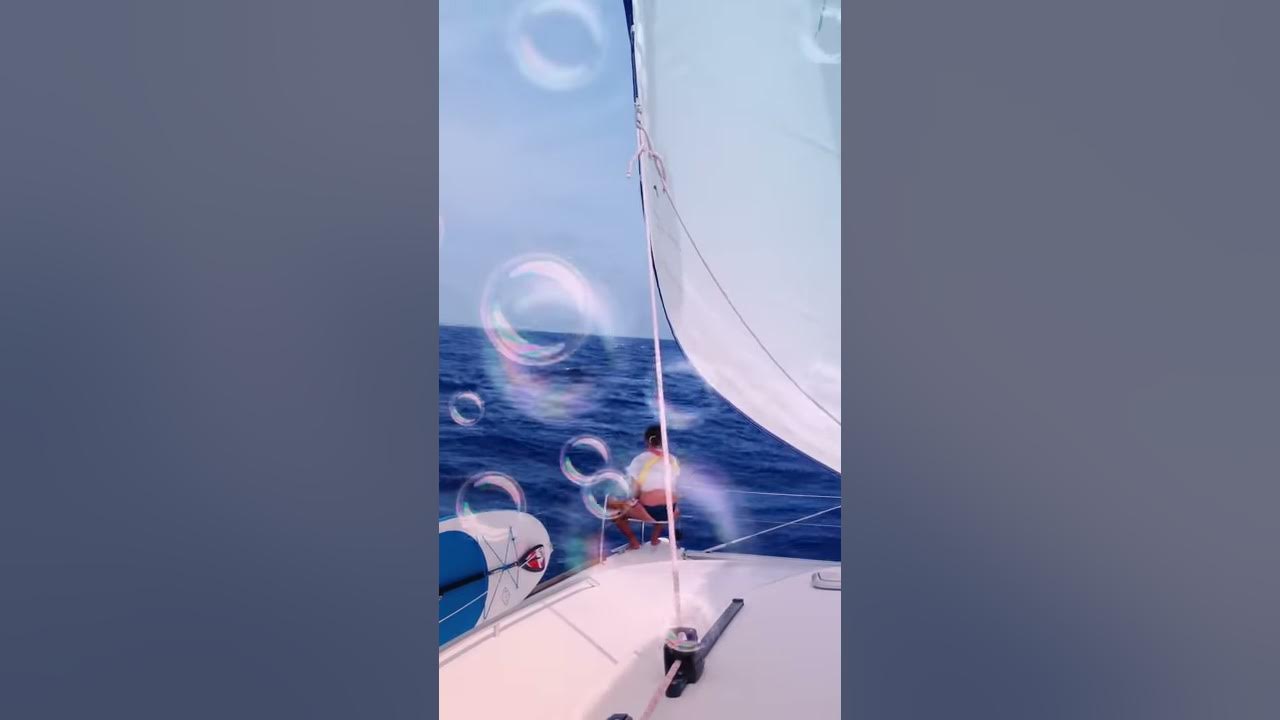 Sailing ZATARA Sailing ELYSIAN YouTube