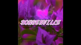 BOUGENVILLE ❤️ Brorey Pesolima