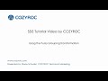 Using the Fuzzy Grouping Transformation - SSIS tutorials for Beginners by COZYROC