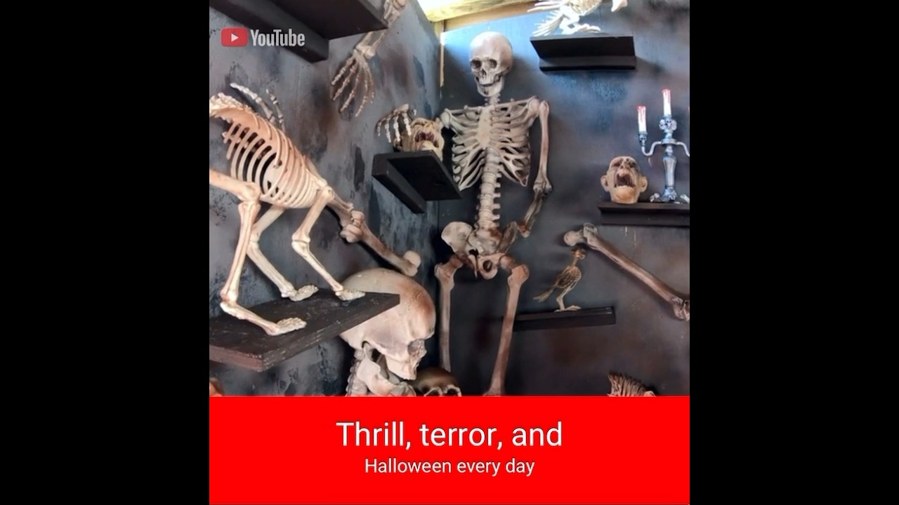 Subscribe to horror 365 if you love Halloween!#HalloweenUpcoming #ForYouPage #Spooky#Subscribe