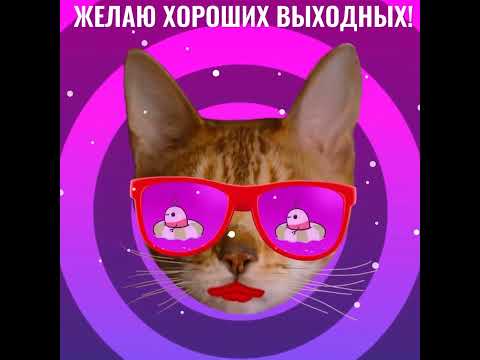 Желаю хороших выходных!