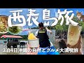 ［西表島］アクティブ沖縄女子旅！マングローブカヌーに由布島観光！🐯🌺