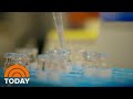 Drugmakers Say They Will Not Rush Out Vaccine Without Proper Testing | TODAY