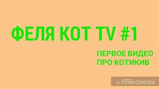 Моё первое видео на моём канале.Фотки котов и кошек Моё первое видео на моём канале.Фотки котов и кошек