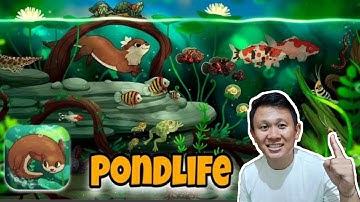 Pondlife Gameplay Episode 1 #pondlife #relaxinggame #fishgame 