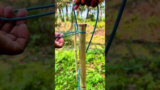 Smart Loop Knot on a Post 🪢⚡ | Easy & Strong Rope Trick