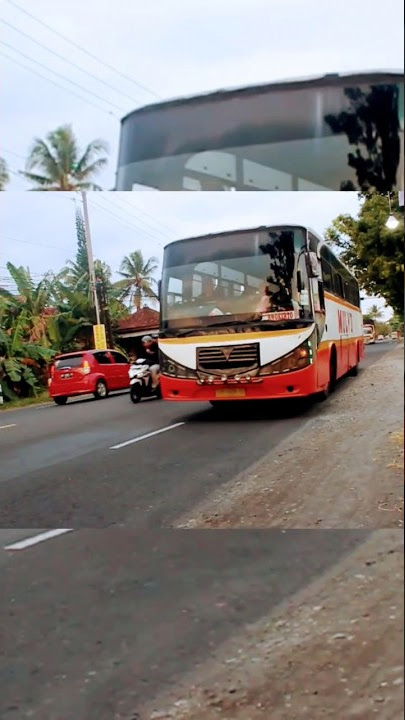 PO. Mulyo || #busmaniacomunity #viralshort