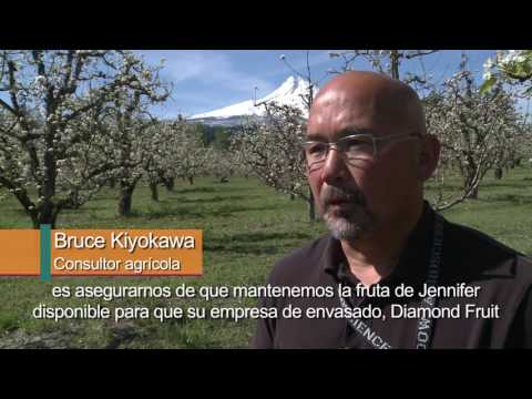 Video: Steve's Real Food Issues Retirada Voluntaria Del Mercado De Tres Lotes De Productos Debido A Una Posible Contaminación Por Salmonella Y L.Mono