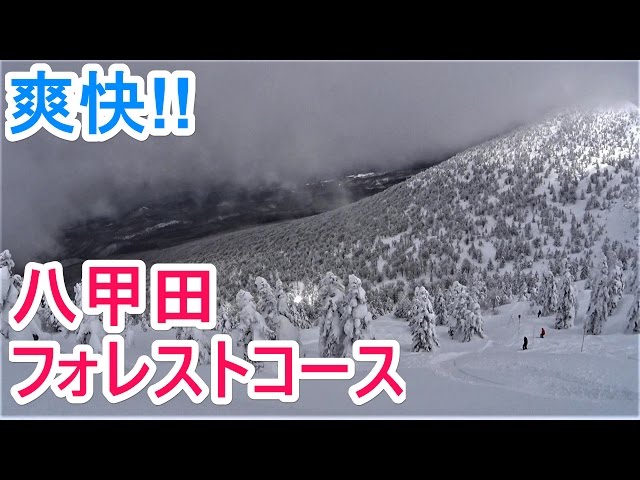 【スノーボード】八甲田 フォレストコース　爽快!!【ウインタースポーツ】