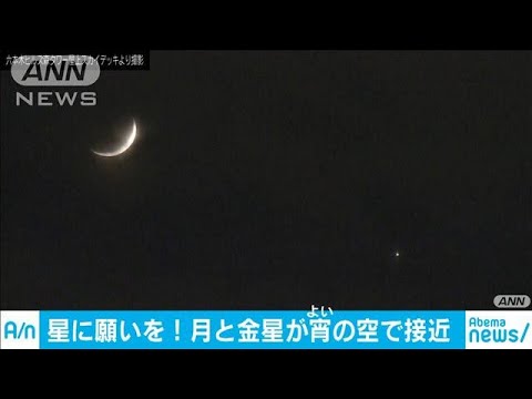 宵の空に・・・月と金星がランデブー　幻想的な冬の夜に(19/12/29)