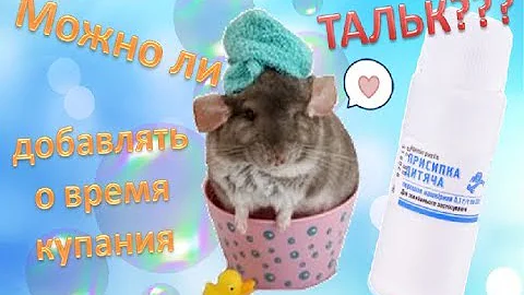 Можно ли добавлять тальк в песок шиншиллам???
