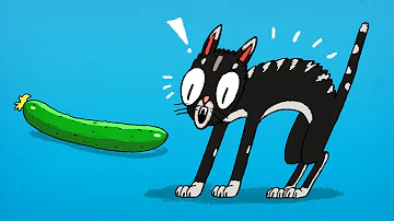 Che cosa fa paura ai gatti?