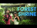 Shooting a Shrine in a Volcanic Forest