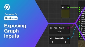 Focusing On The Canvas: Exposing Graph Inputs