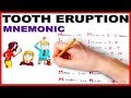 Eruption of Teeth / Easiest way to remember