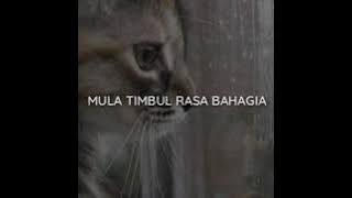 STORY WA LITERASI BAPER AKU SUKA DIA