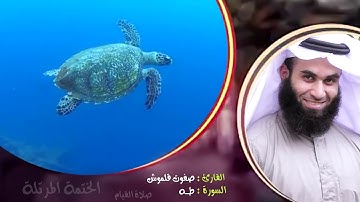 سورة طه (1) | الختمة المرتلة | القارئ صفوت قلموش .HD
