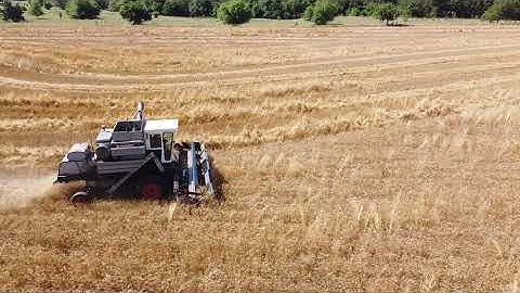 Wheat Harvest 2021 - Harper, Kansas (Part 8)