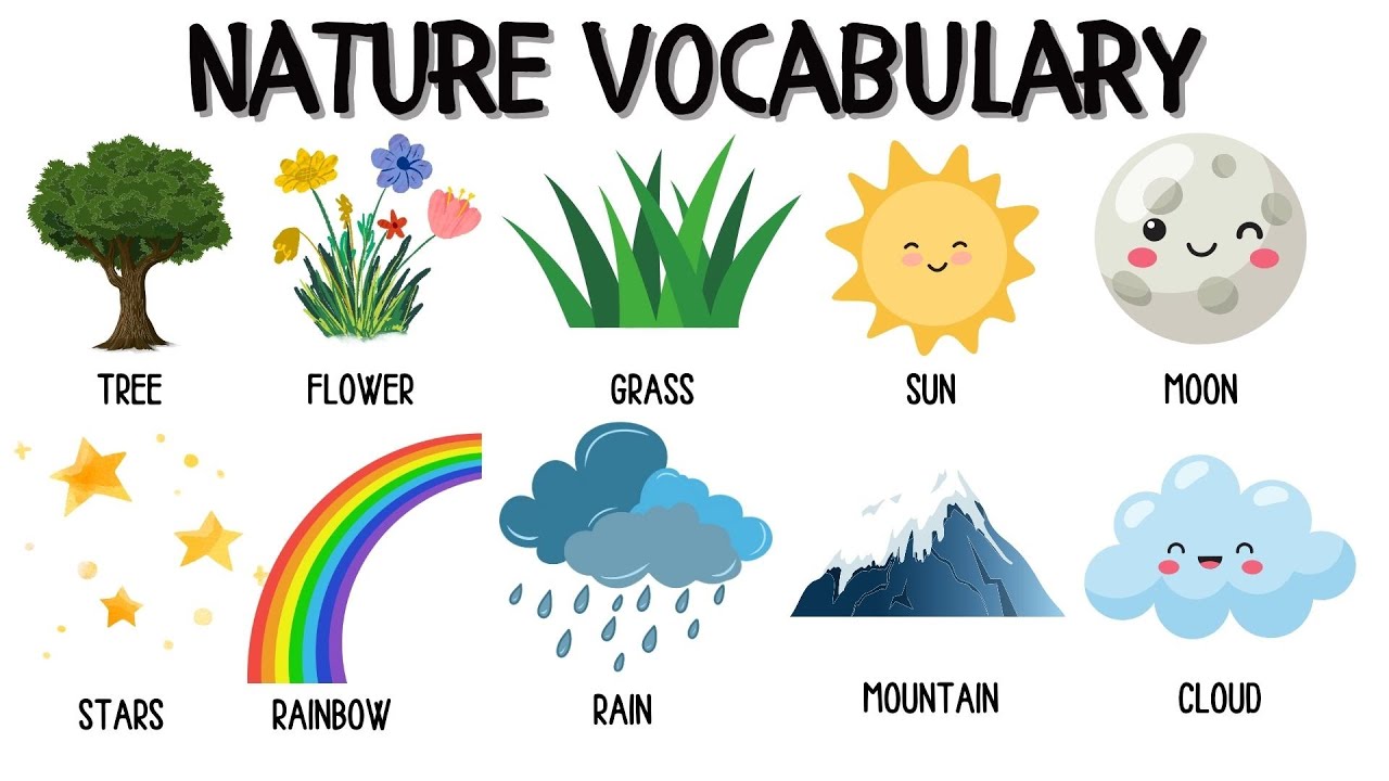 Nature Vocabulary | Learn Nature Vocabulary Words for Kids 🌳🌼🌊