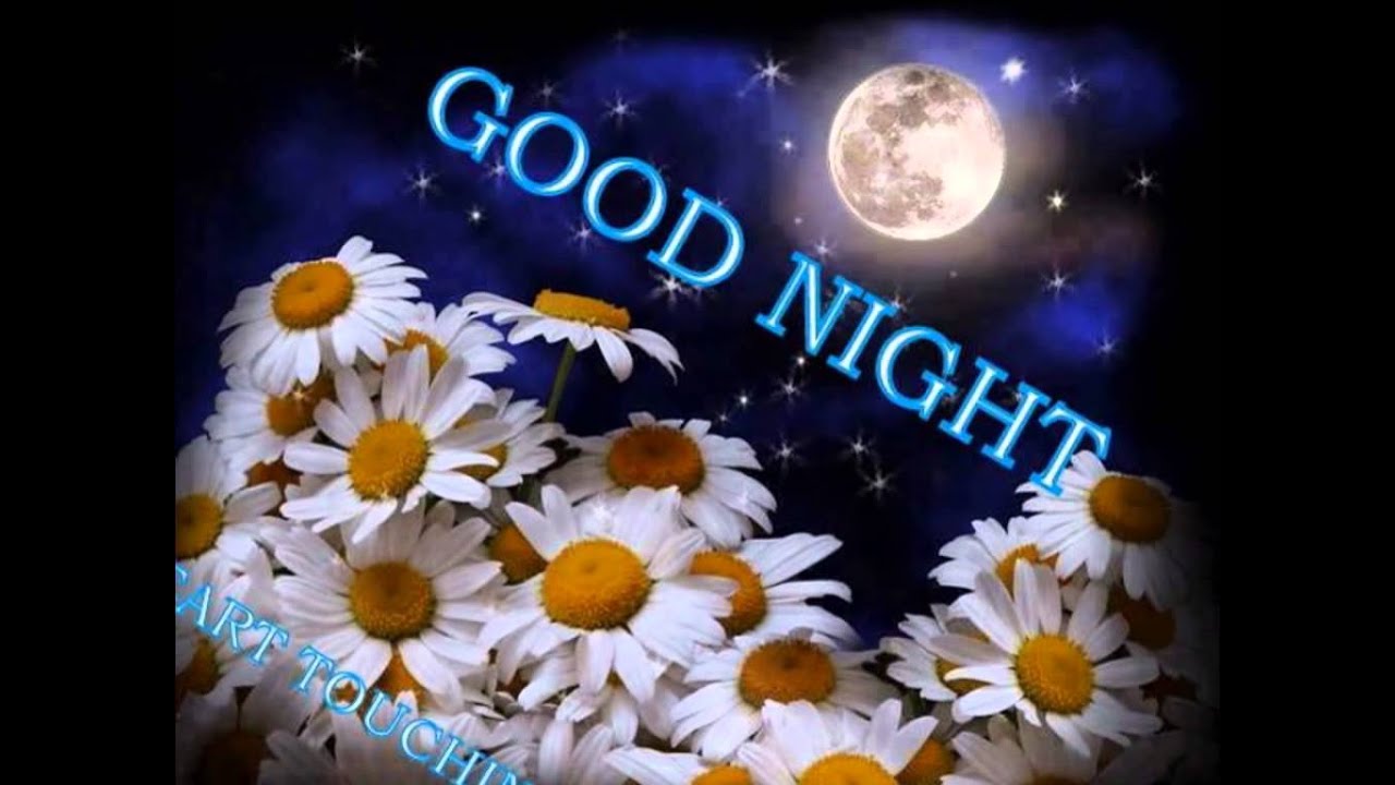 Good Night Sweet Dreams Wishes,Good Night Greetings,E-Card,Wallpapers