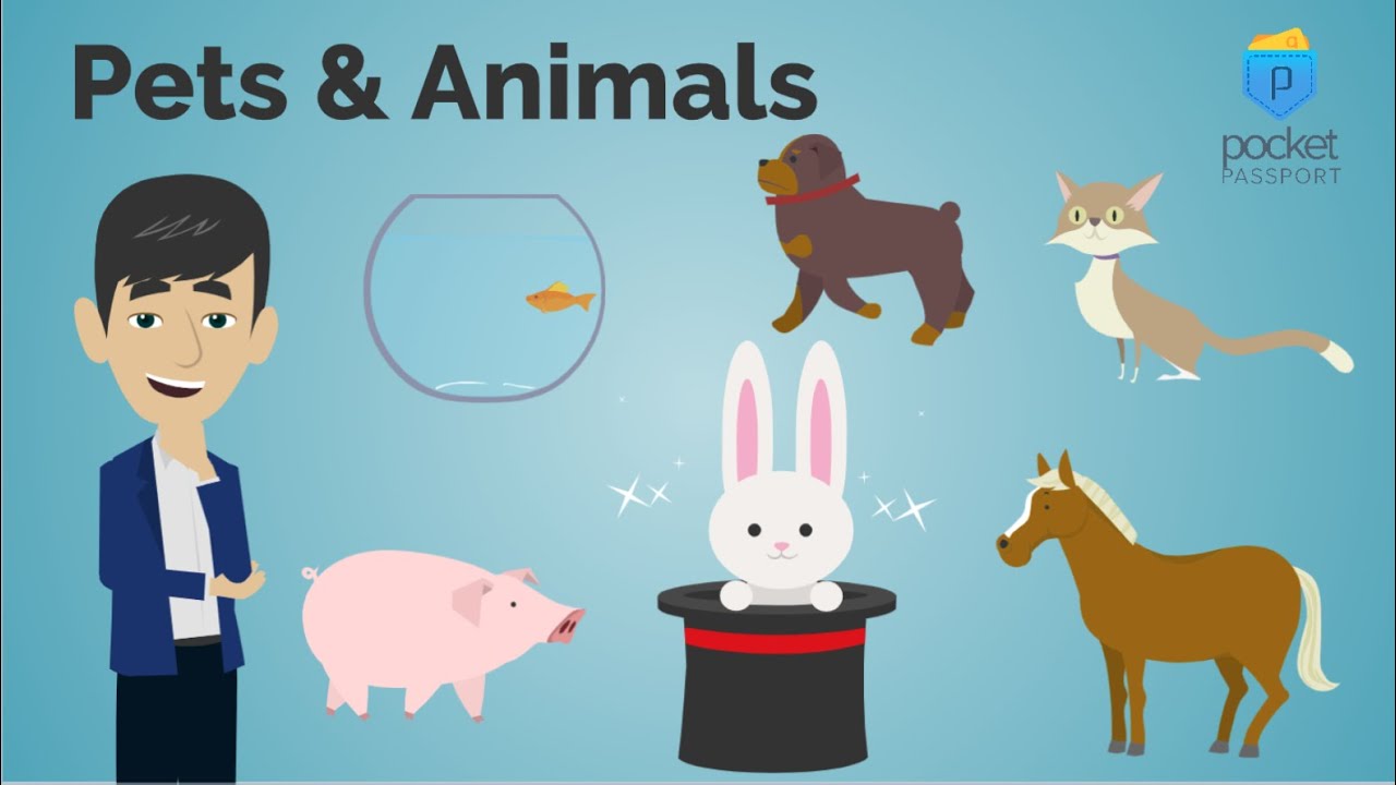⁣Pets and Animals Around the World