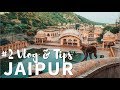 Jaipur y el Templo de los Monos ● INDIA #2 Vlog & Tips