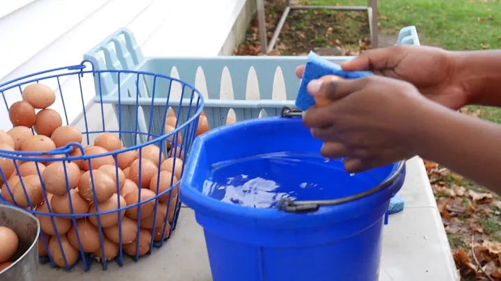 Community Service Day 2017