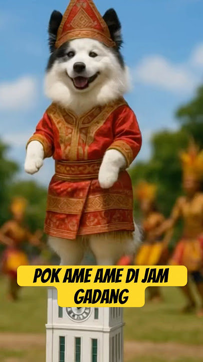 pok ame ame cilukba ~ Anjing lucu ~ belalang kupu kupu #laguanak #pokameame #belalangkupukupu